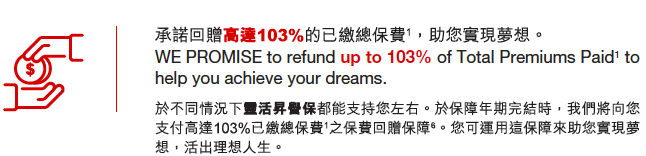 香港忠意保险 灵活昇誉保定期寿险