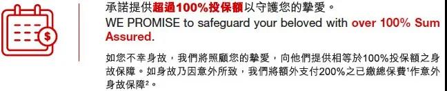 香港忠意保险 灵活昇誉保定期寿险