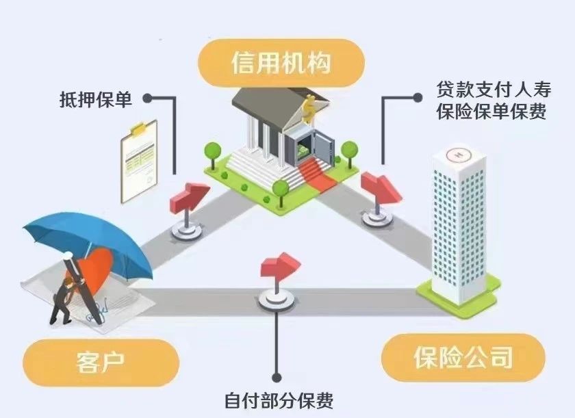 香港保险保单高端玩法—保费融资