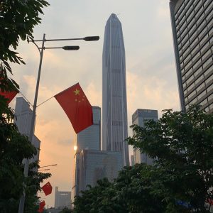真的很懒的头像