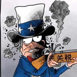 qimi的头像